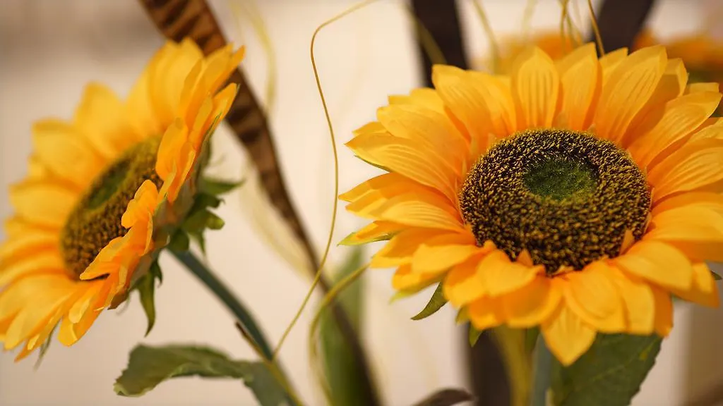 Garden Hotel Arezzo Italy